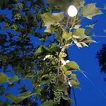 Frühstückspension Ultimo Miglio