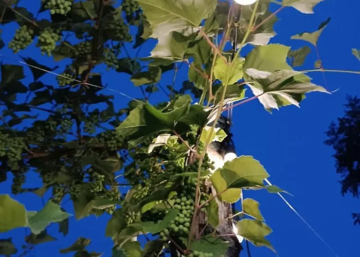 Bed and Breakfast Ultimo Miglio