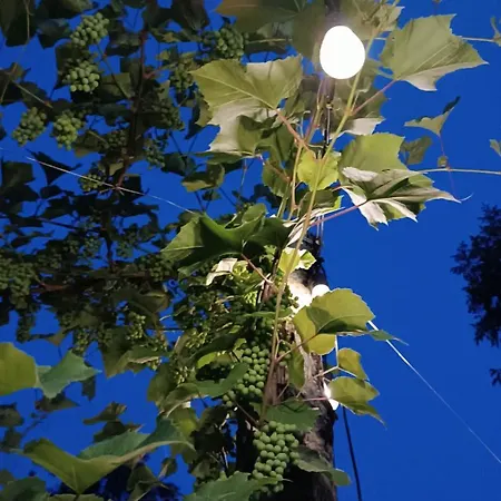 Frühstückspension Ultimo Miglio